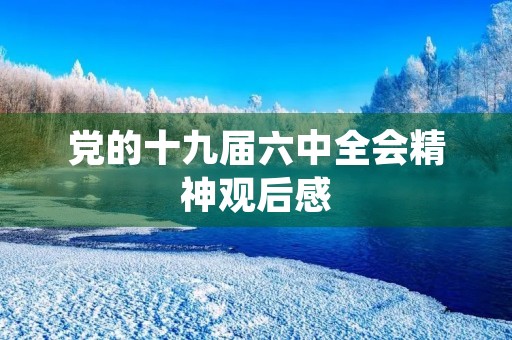 党的十九届六中全会精神观后感 党的十九届六中全会精神观后感