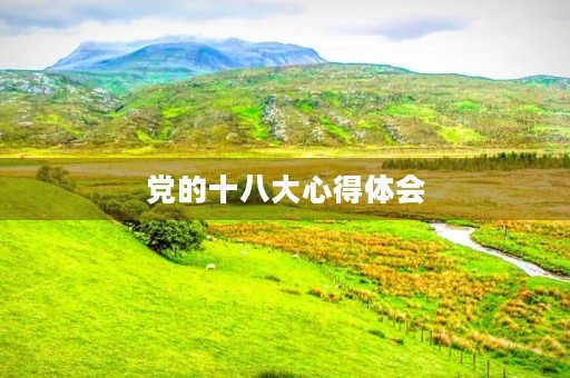 党的十八大心得体会