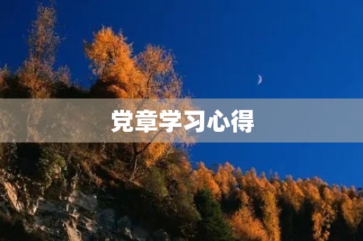 党章学习心得