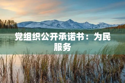 党组织公开承诺书：为民服务，以实际行动铸就初心和使命