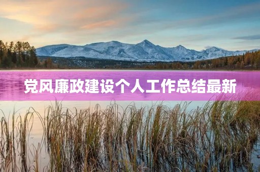 党风廉政建设个人工作总结最新