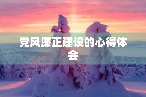 党风廉正建设的心得体会