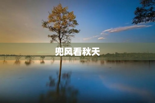 兜风看秋天 兜风看秋天