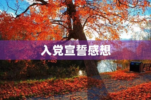 入党宣誓感想