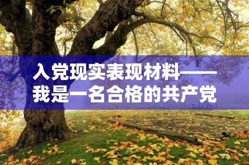 入党现实表现材料——我是一名合格的共产党员