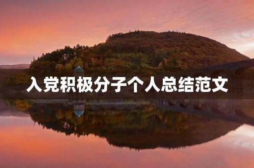 入党积极分子个人总结范文