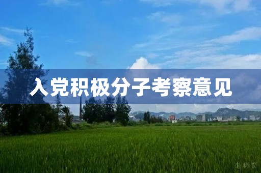 入党积极分子考察意见 入党积极分子考察意见
