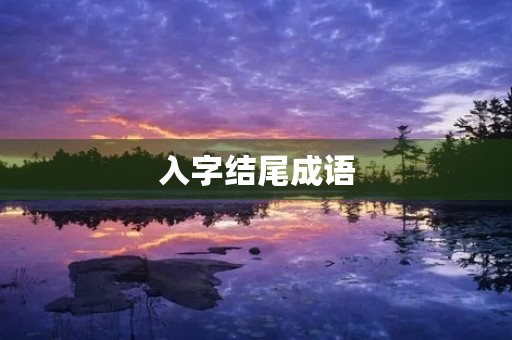 入字结尾成语