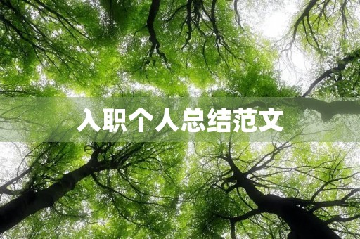 入职个人总结范文