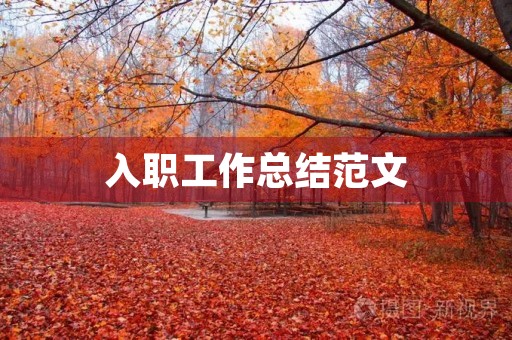 入职工作总结范文 入职工作总结范文