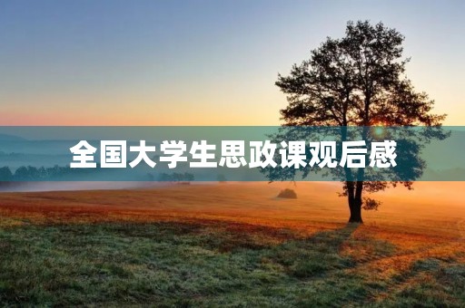 全国大学生思政课观后感 全国大学生思政课观后感