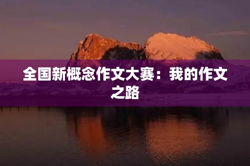 全国新概念作文大赛：我的作文之路