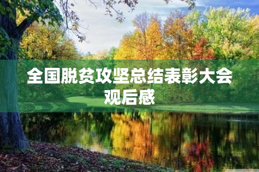 全国脱贫攻坚总结表彰大会观后感