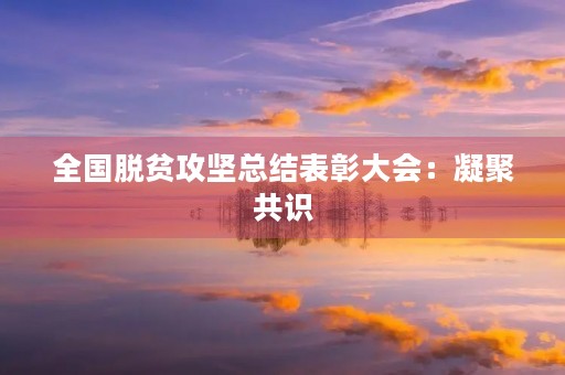 全国脱贫攻坚总结表彰大会：凝聚共识，砥砺前行