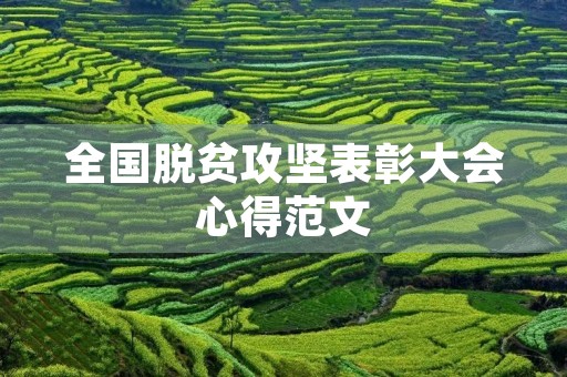 全国脱贫攻坚表彰大会心得范文