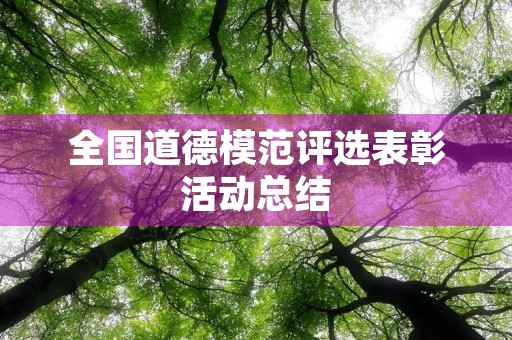 全国道德模范评选表彰活动总结