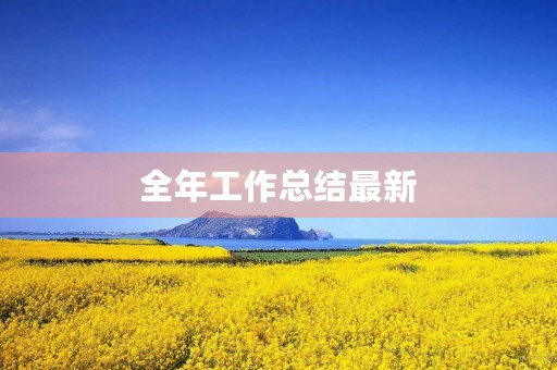 全年工作总结最新