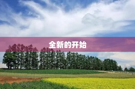 全新的开始