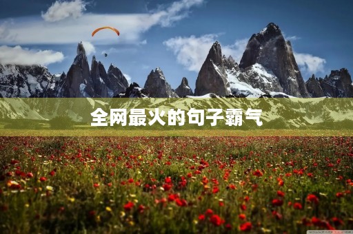 全网最火的句子霸气(全网最火的句子霸气英文) 全网最火的句子霸气(全网最火的句子霸气英文)