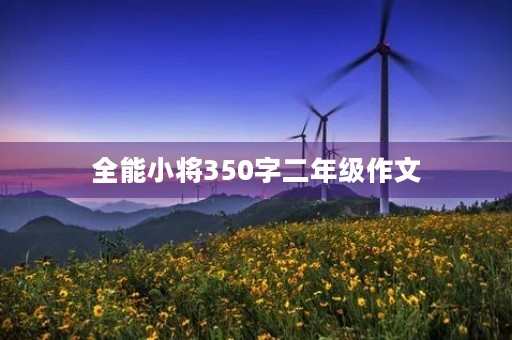 全能小将350字二年级作文