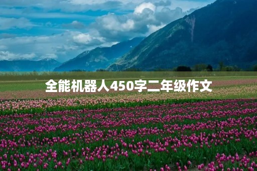 全能机器人450字二年级作文