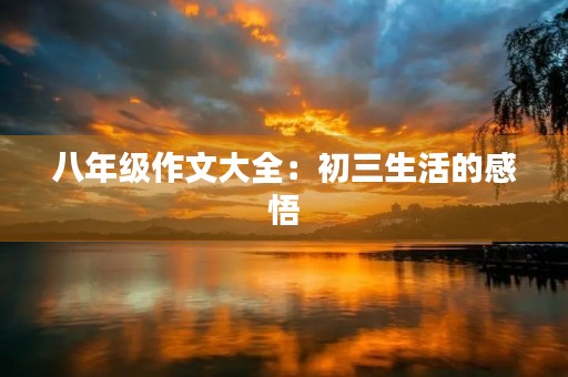 八年级作文大全：初三生活的感悟