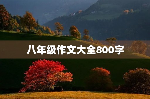 八年级作文大全800字