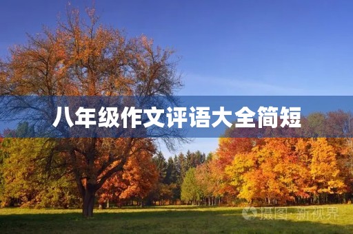 八年级作文评语大全简短 八年级作文评语大全简短
