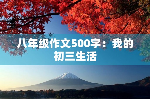 八年级作文500字：我的初三生活