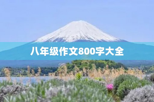 八年级作文800字大全