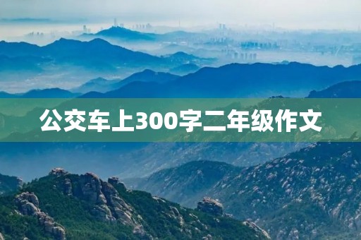 公交车上300字二年级作文 公交车上300字二年级作文