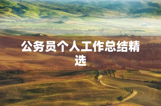 公务员个人工作总结精选