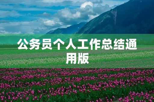 公务员个人工作总结通用版