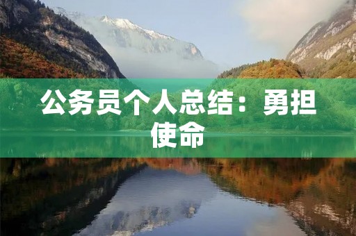 公务员个人总结:勇担使命,勤奋工作,不断进取