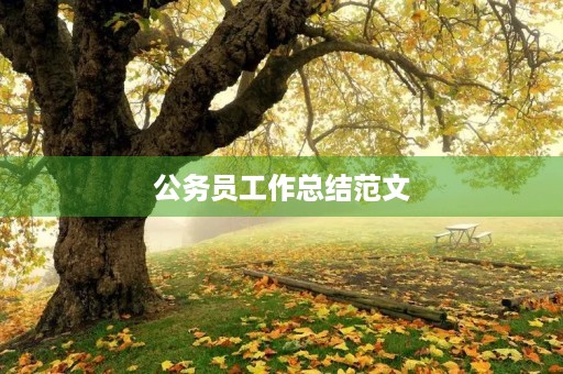 公务员工作总结范文 公务员工作总结范文