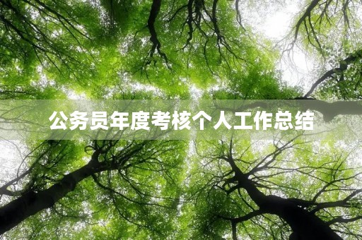 公务员年度考核个人工作总结 公务员年度考核个人工作总结