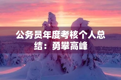 公务员年度考核个人总结：勇攀高峰，不断超越自我