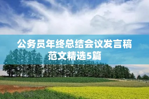 公务员年终总结会议发言稿范文精选5篇