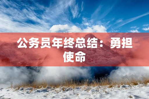 公务员年终总结：勇担使命，奋发有为