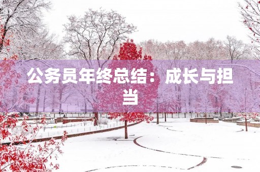 公务员年终总结:成长与担当 公务员年终总结:成长与担当