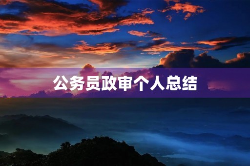 公务员政审个人总结