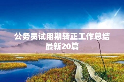 公务员试用期转正工作总结最新20篇