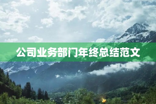 公司业务部门年终总结范文 公司业务部门年终总结范文