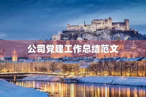 公司党建工作总结范文