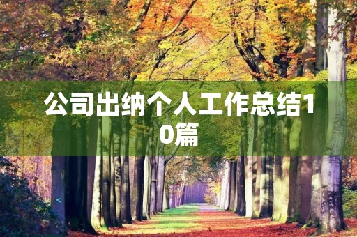 公司出纳个人工作总结10篇