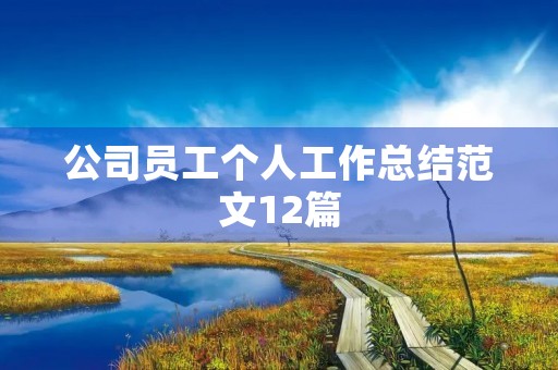 公司员工个人工作总结范文12篇 公司员工个人工作总结范文12篇