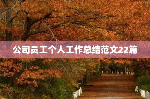 公司员工个人工作总结范文22篇