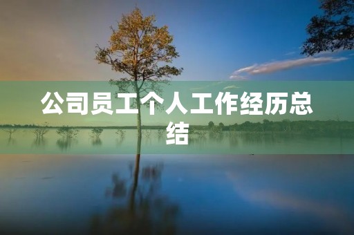 公司员工个人工作经历总结 公司员工个人工作经历总结