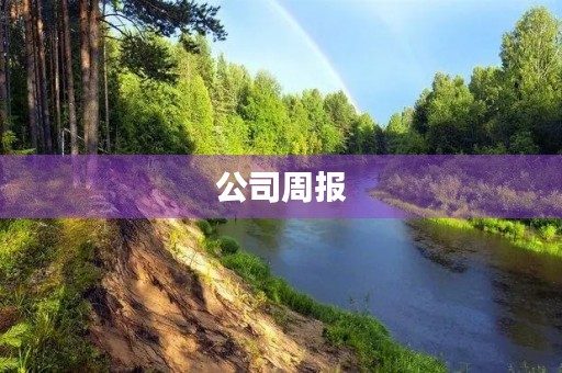 公司周报