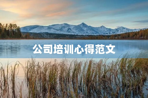 公司培训心得范文